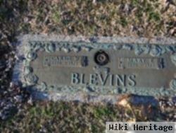 Mary Edith Birchfield Blevins