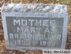 Mary A Braunmiller