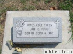 James Cole Cales