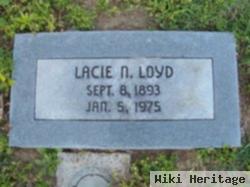 Lacie Northern Loyd