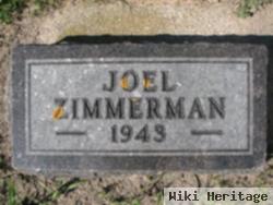 Joel P Zimmerman