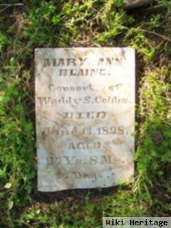 Mary Ann Blaines Cobbs