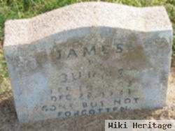 James Ambrose Burns