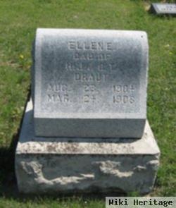 Ellen E. Draut