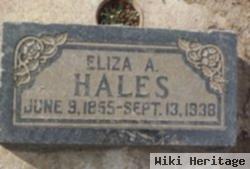 Eliza Ann Hales