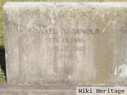Ansel A. Arnold