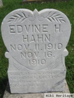 Edvine H. Hahn