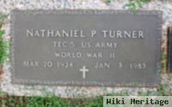 Nathaniel P Turner