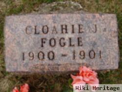 Cloahie J. Fogle