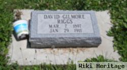 David Gilmore Riggs