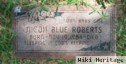 Nicoh Blue Roberts