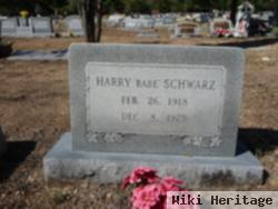 Harry "babe" Schwarz