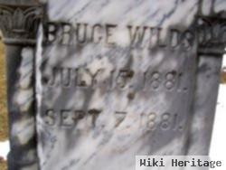 Bruce Wilds