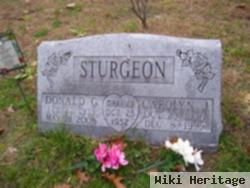 Carolyn J Sturgeon