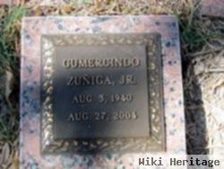 Gumercindo Zuniga, Jr.