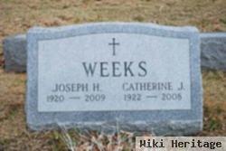 Joseph H Weeks