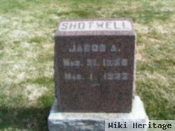 Jacob Alexander Shotwell