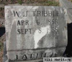 W. J. Tribble