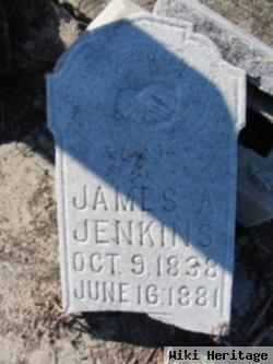 James A. Jenkins