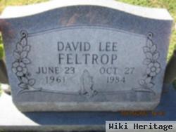 David Lee Feltrop