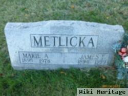 James F Metlicka