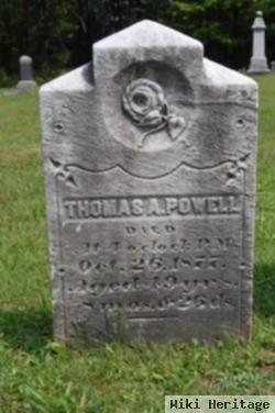 Thomas A Powell