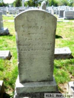 Rosa Lang