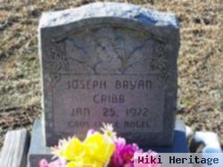 Joseph Bryan Cribb