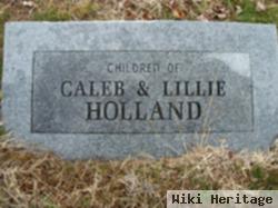 Infant Holland