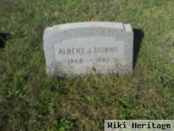 Albert J Downs