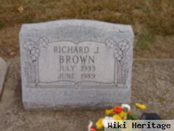 Richard J Brown