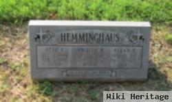 Allan E Hemminghaus