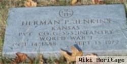 Herman Peter "pete" Jenkins