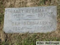 Dan Bergmark