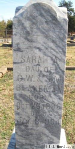 Sarah A Blakeman