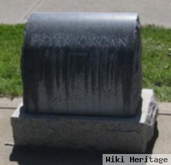 Peter Organ