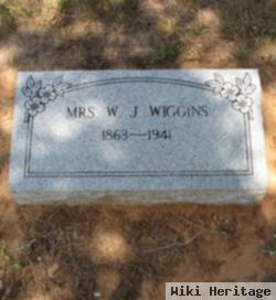 Nancy Henrietta Valentine Wiggins