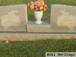 Elizabeth Moore Harrison Marshall