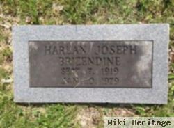 Harlan Joseph Brizendine