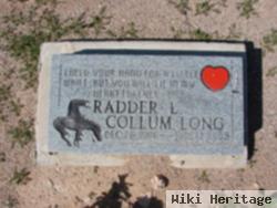 Radder L. Collum Long