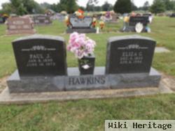 Paul Jenkins Hawkins