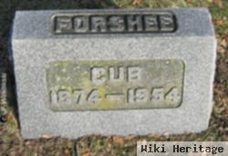 Cub Forshee