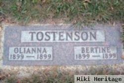 Bertine Tostenson