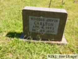 Woodie Orvin Carlton