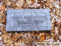 David L Klopfenstein