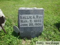 Sallie A. Ray