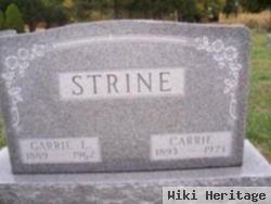 Garrie L Strine