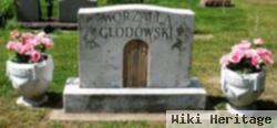 Felix F Glodowski