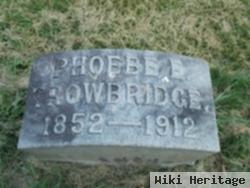 Phoebe E. Chapman Trowbridge