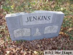 Vicky S. Jenkins